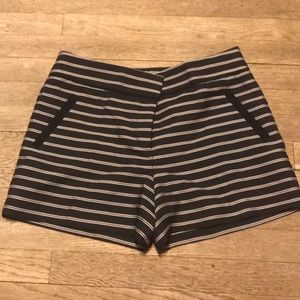 LOFT Shorts - Ann Taylor Riviera Striped Shorts LOFT Shorts - Ann Taylor Riviera Striped Shorts